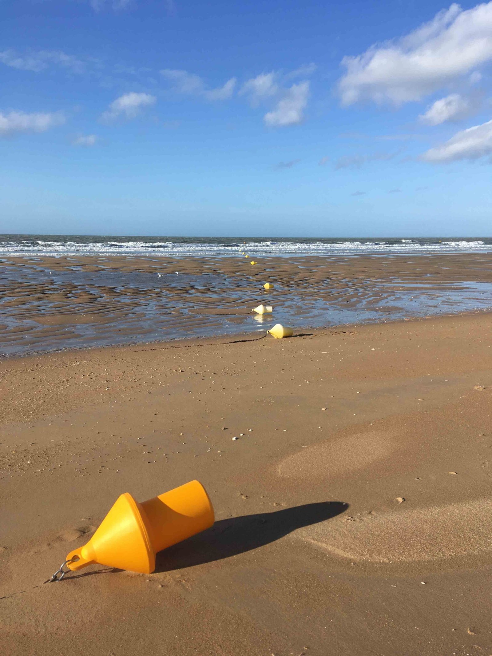 Naturadvitam - Naturopathe Educatrice Santé À RUEIL-MALMAISON