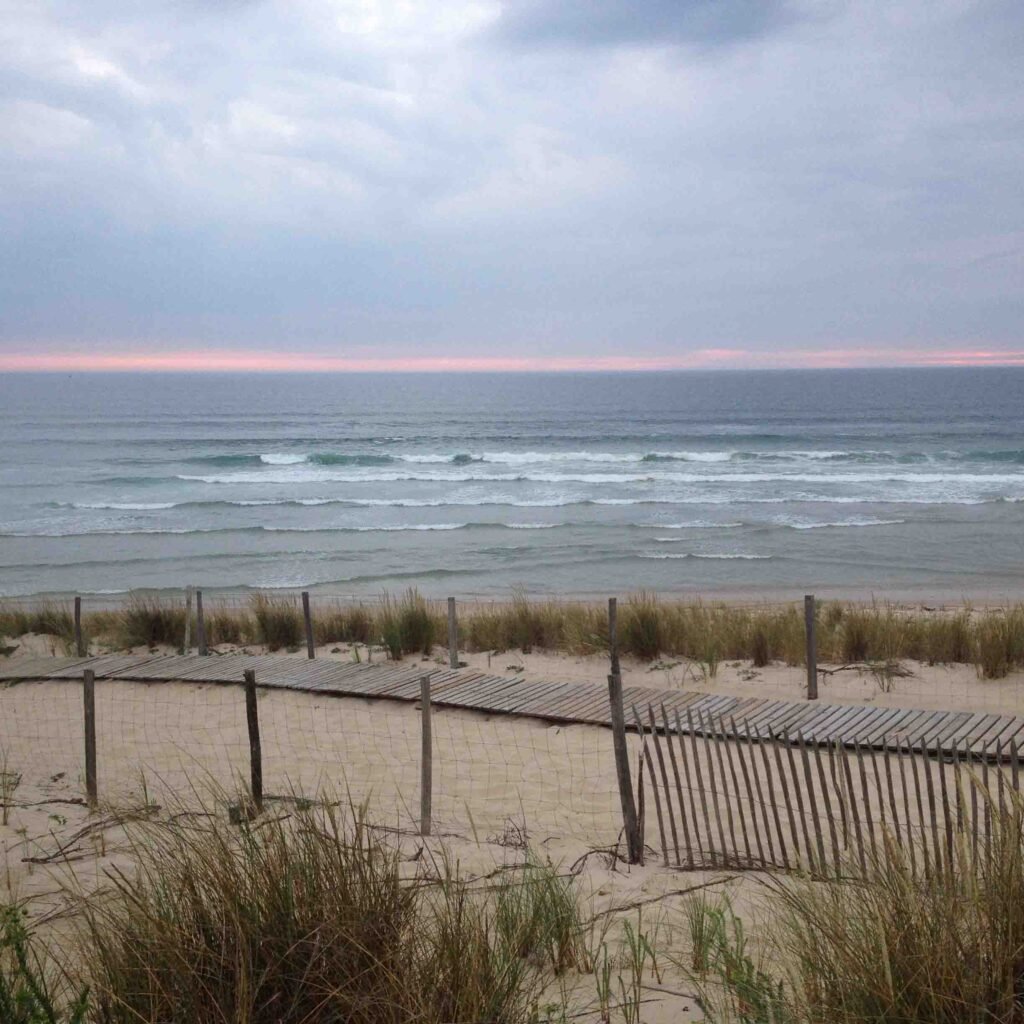 Naturadvitam - Naturopathe Educatrice Santé À RUEIL-MALMAISON