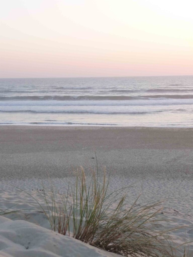 Naturadvitam - Naturopathe Educatrice Santé À RUEIL-MALMAISON